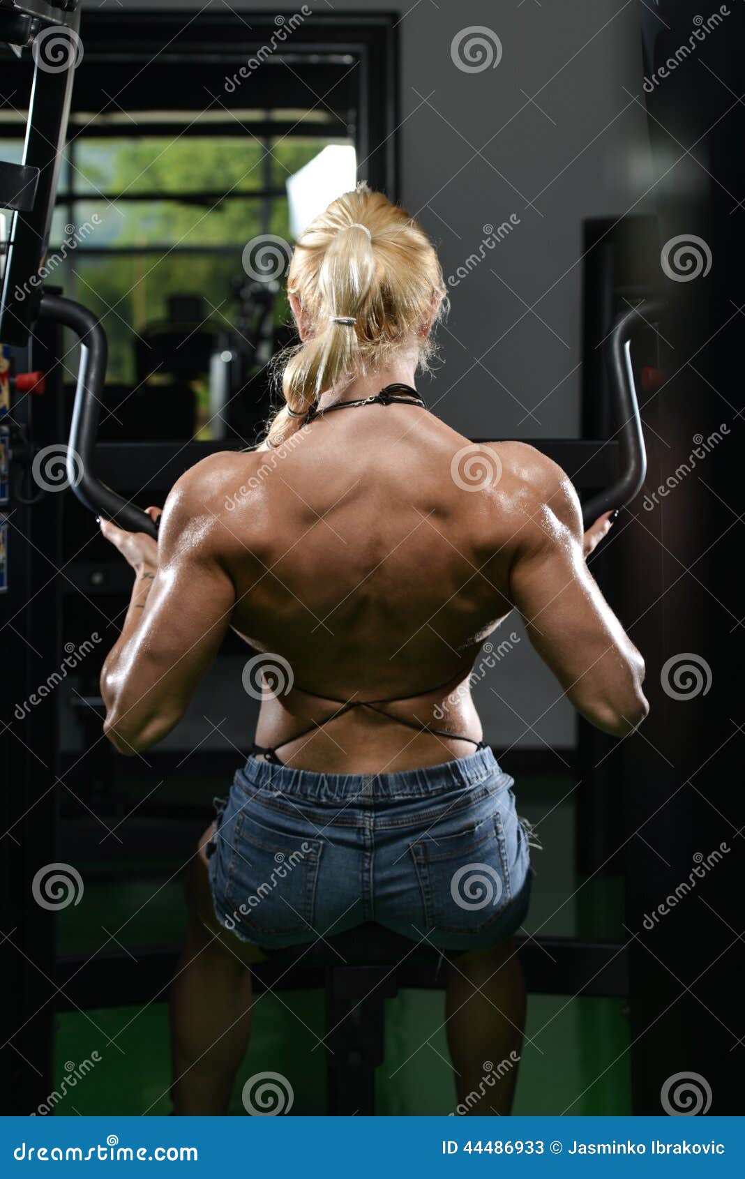 Young Female Doing Back Exercises in the Gym Stock Image Image of
