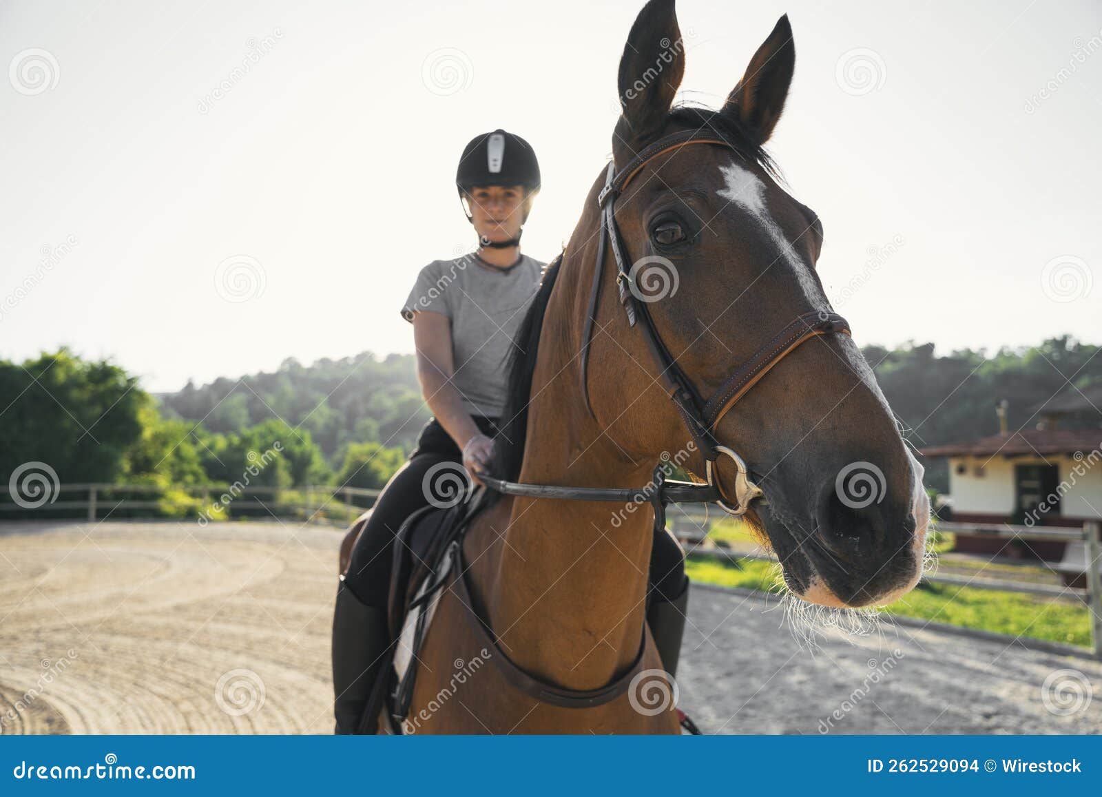 Female Equestrian Riding a Horse Stock Photo Image of woman