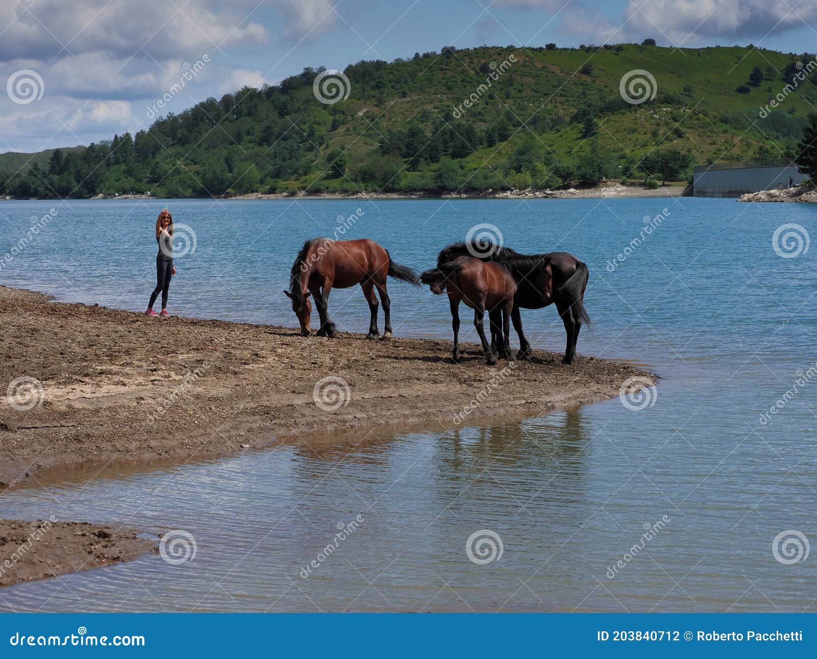 young female with horses close to lake