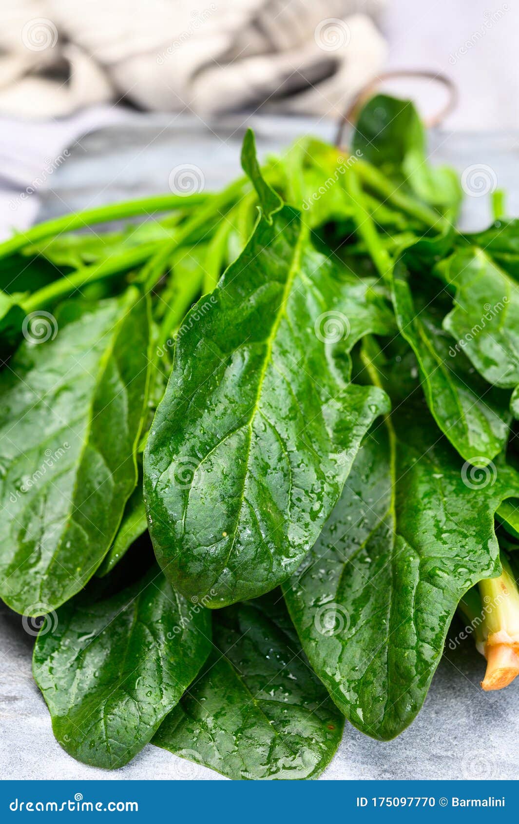 Young Fresh Leaves of Green Organic Spinach Ready To Cook Stock Photo