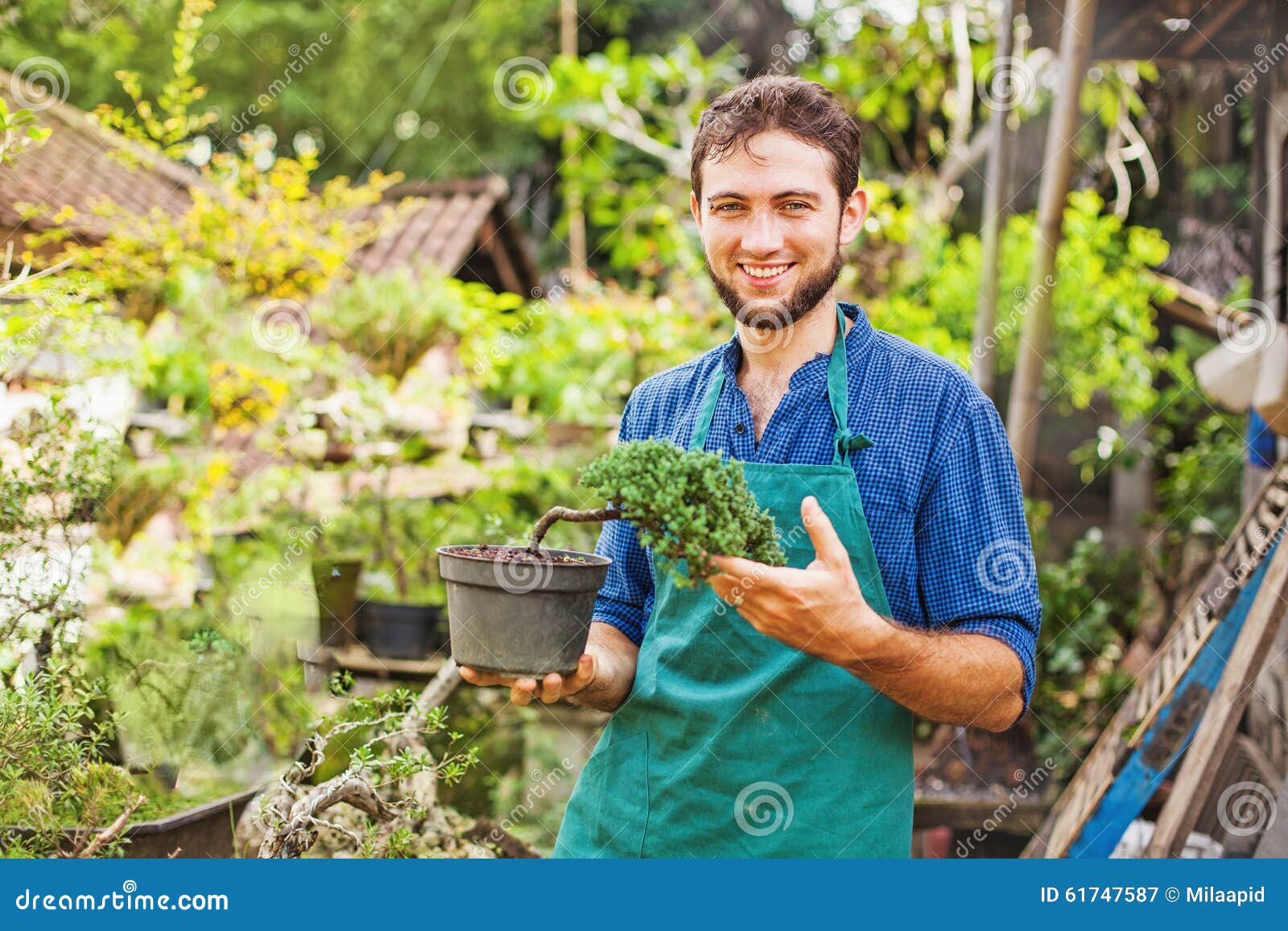 Young gardener with bonsai stock image. Image of beard 61747587