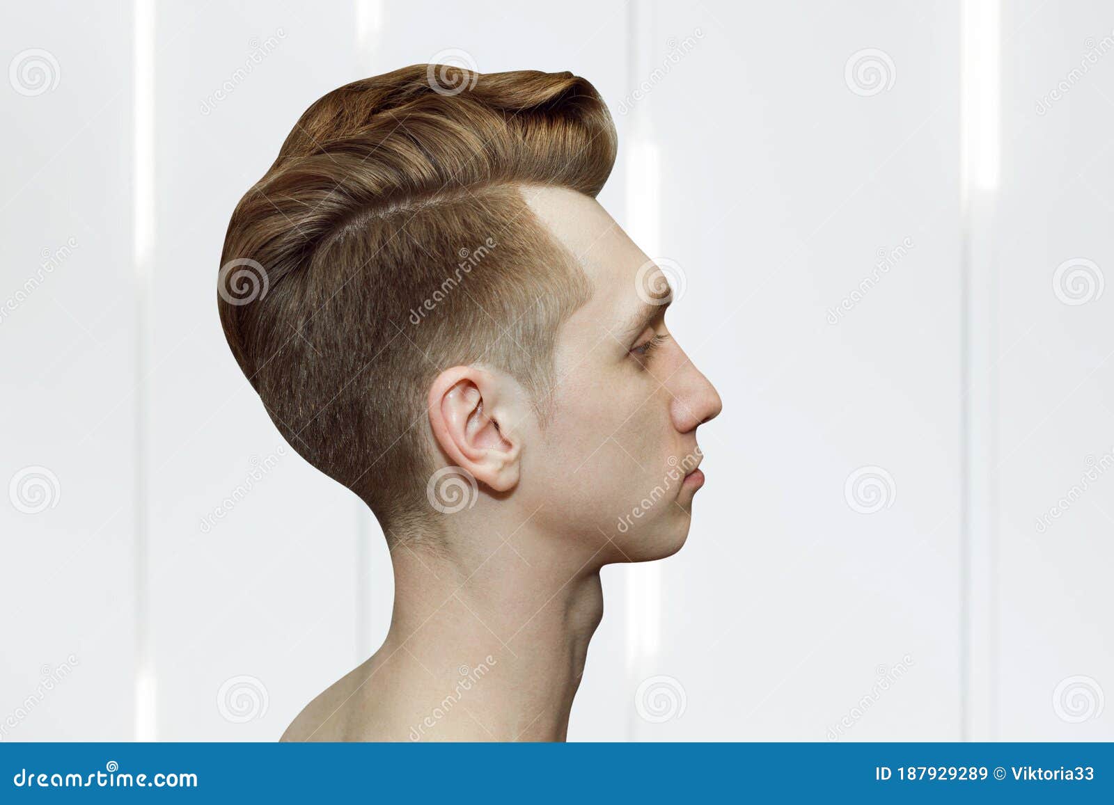 Young Ginger Guy With Pompadour Haircut Real Photo Hair For Barbershop Old Fashioned Stock Image Image Of Face Elegance 187929289