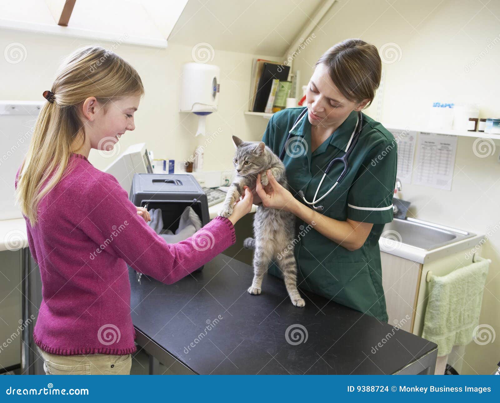 young girl bringing cat for examination by vet