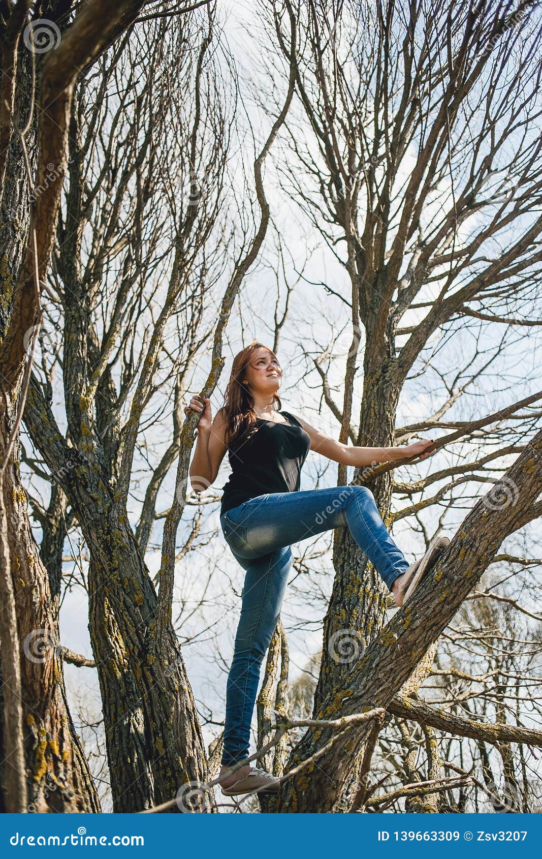 Young Girl Climbing a Tree on a Fine Spring Day Stock Image Image of
