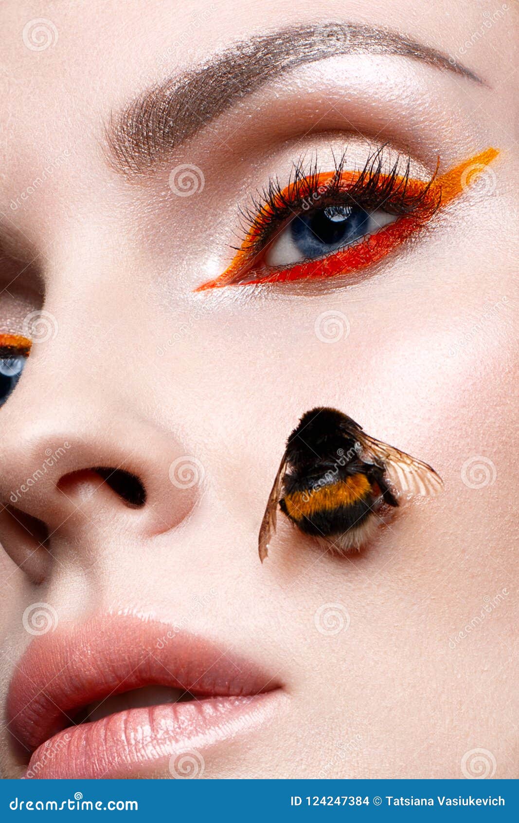 740 Bumblebee Face Photos - Free & Royalty-Free Stock Photos from Dreamstime
