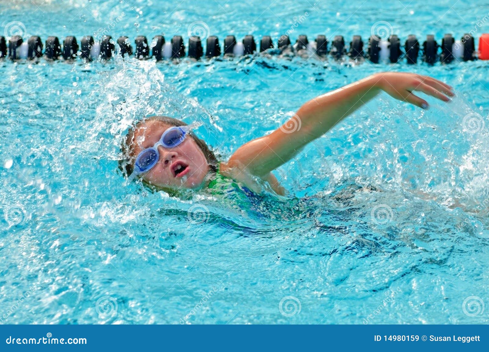 Young Girl /Freestyle in Pool Stock Image Image of learning, pool