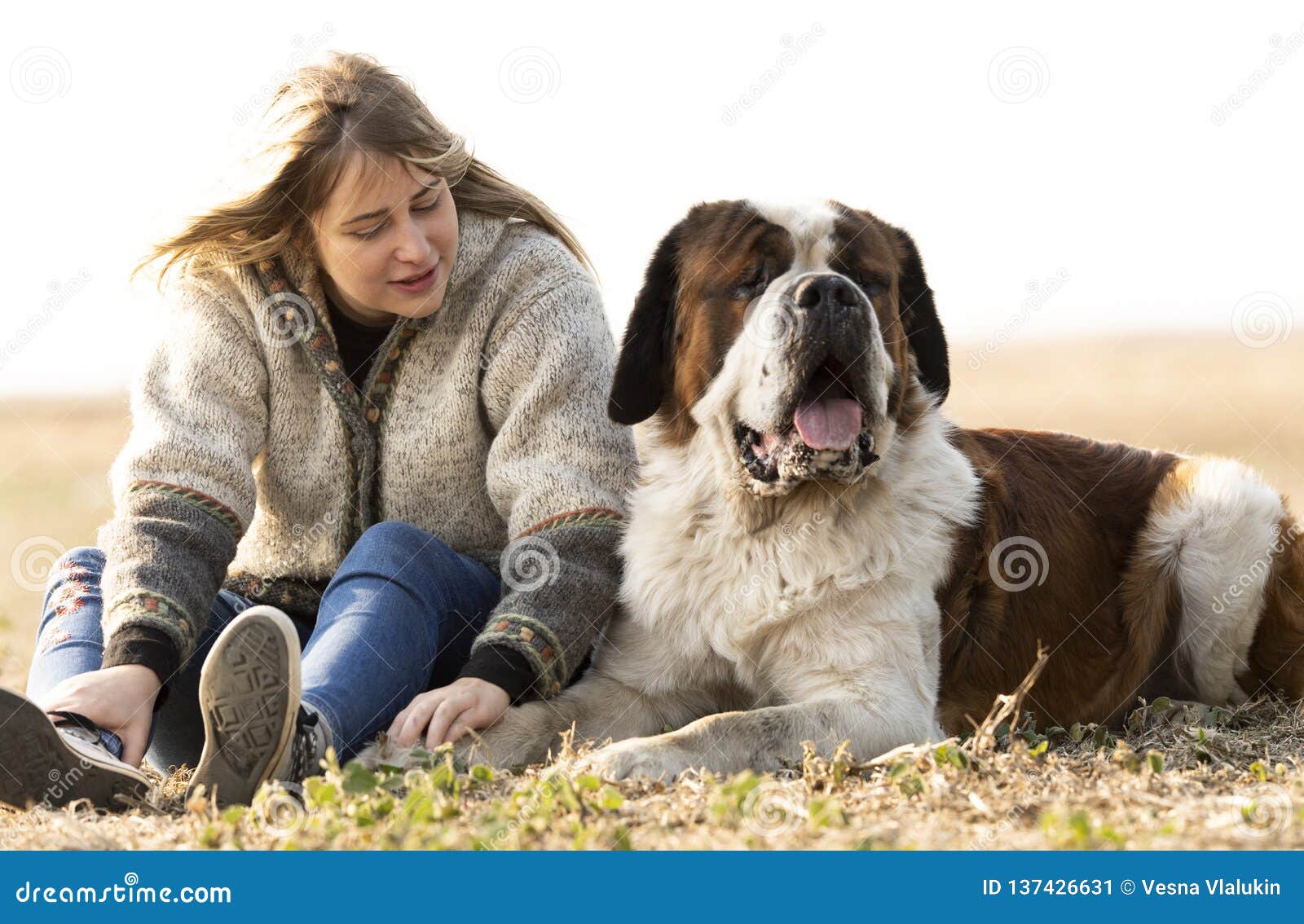 young girl and her big bernard dog