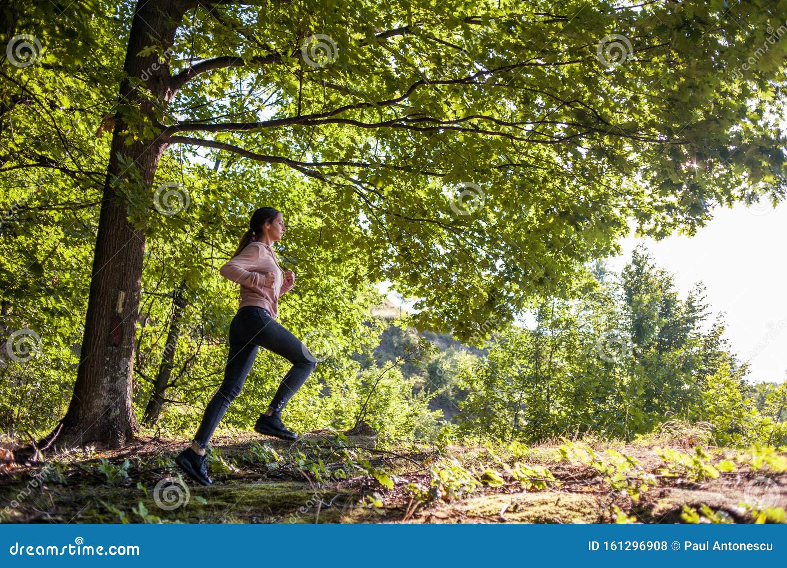 Young Girl Jogging in the Woods on a Sunny Morning. Stock Photo - Image ...