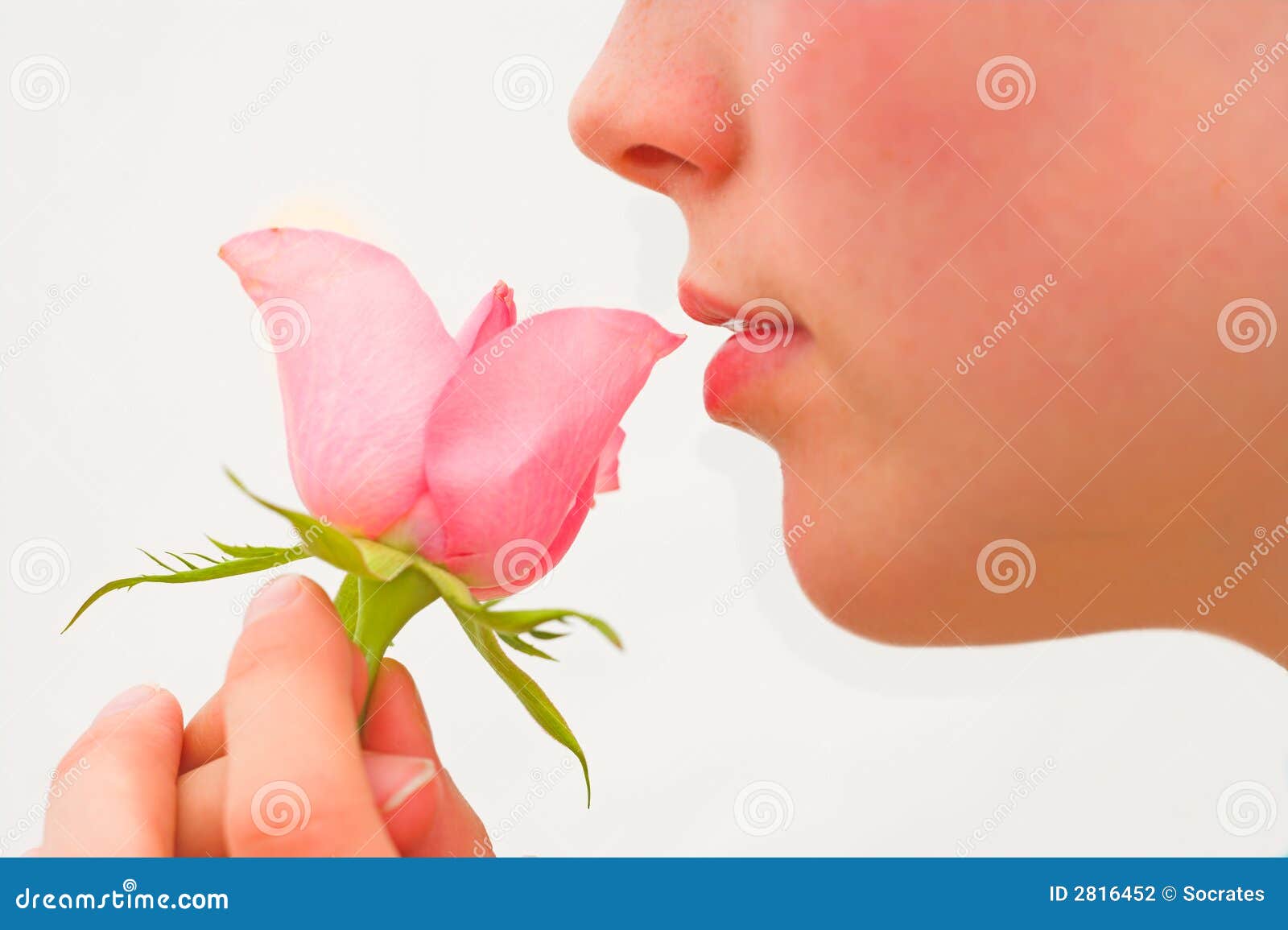 Young Girl Kissing Rose RoyaltyFree Stock Image