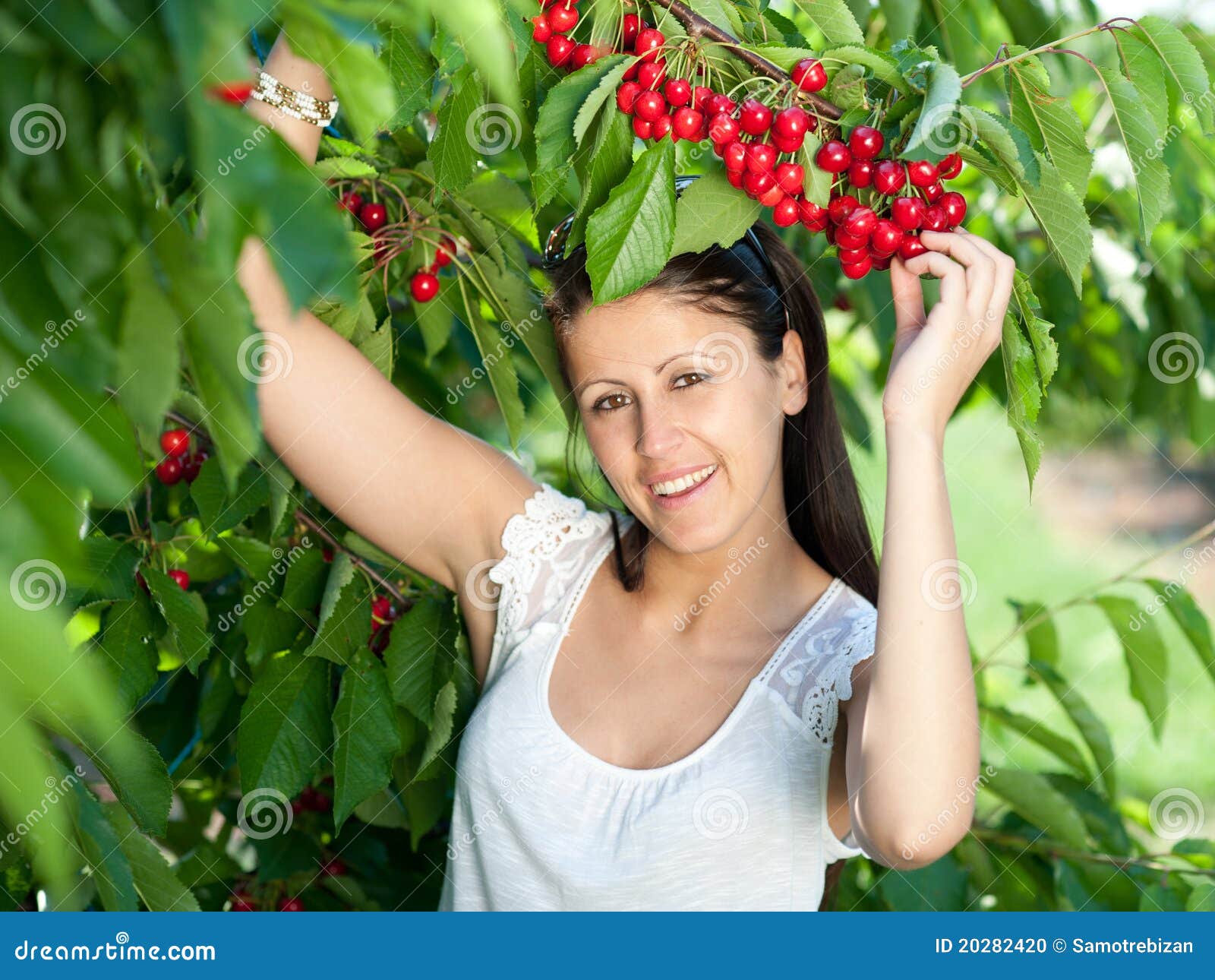 Young Girl Picking Cherries Stock Photo Image of agriculture, girl