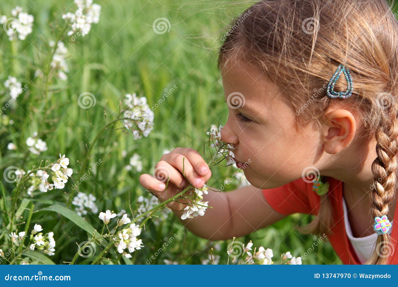 Young Girl Smelling Flowers Stock Photo Image of smelling, flowers