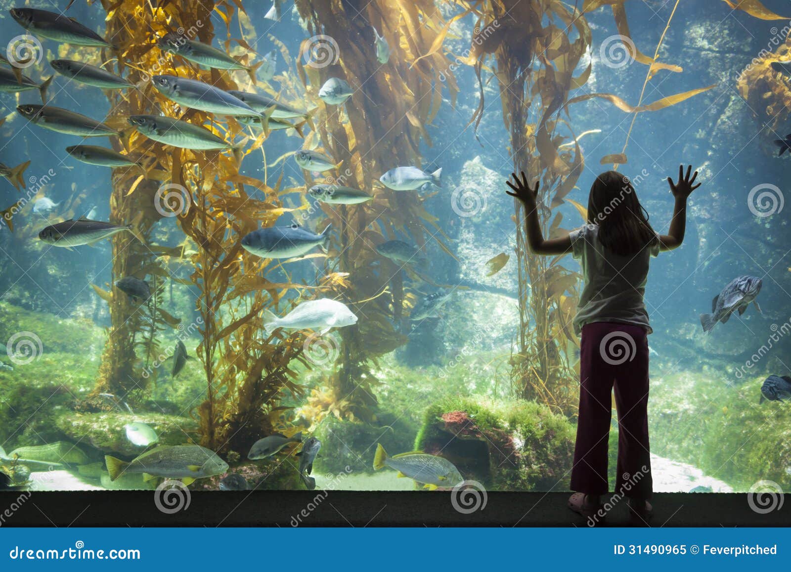 young girl standing up against large aquarium observation glass
