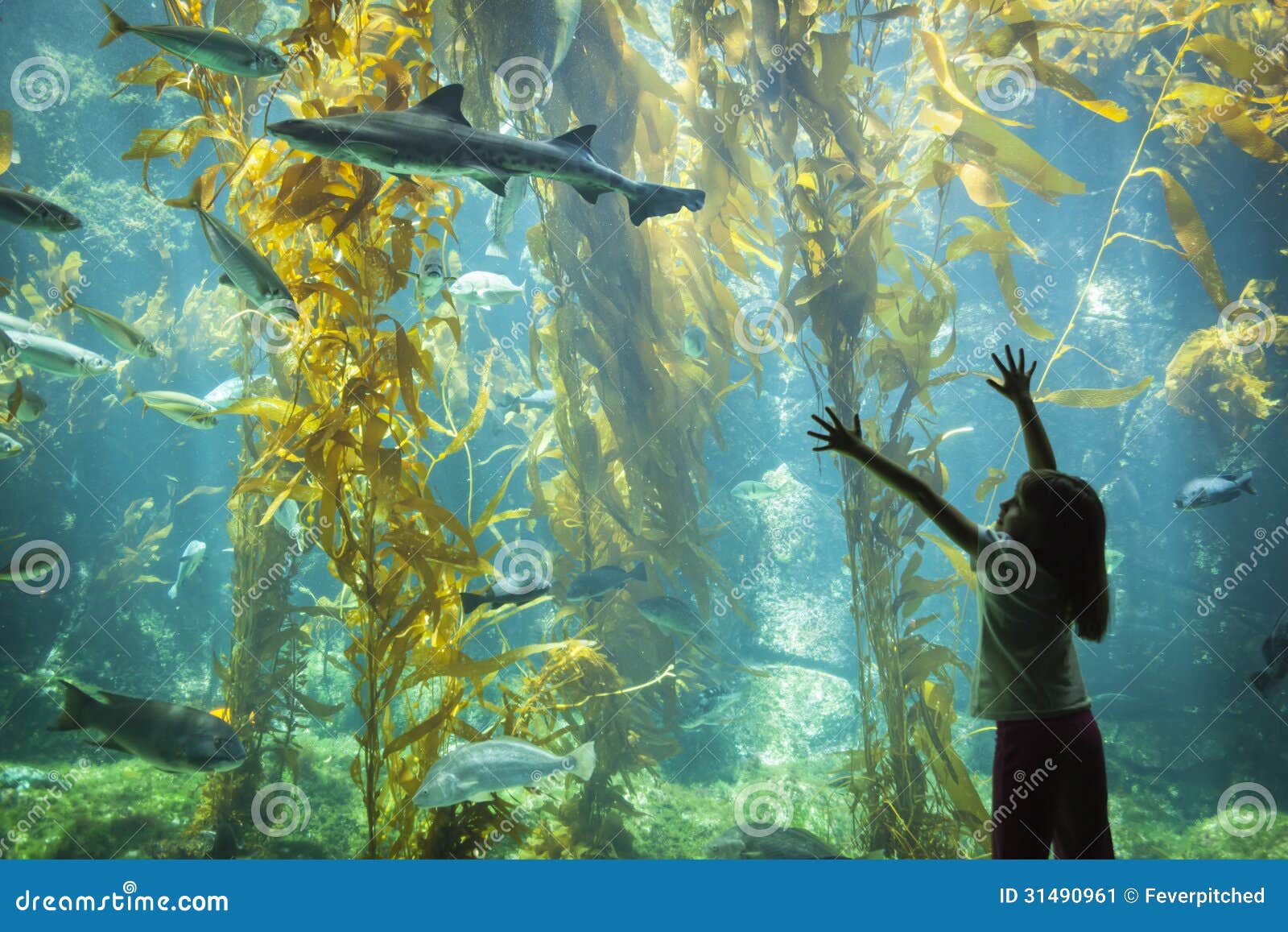 young girl standing up against large aquarium observation glass