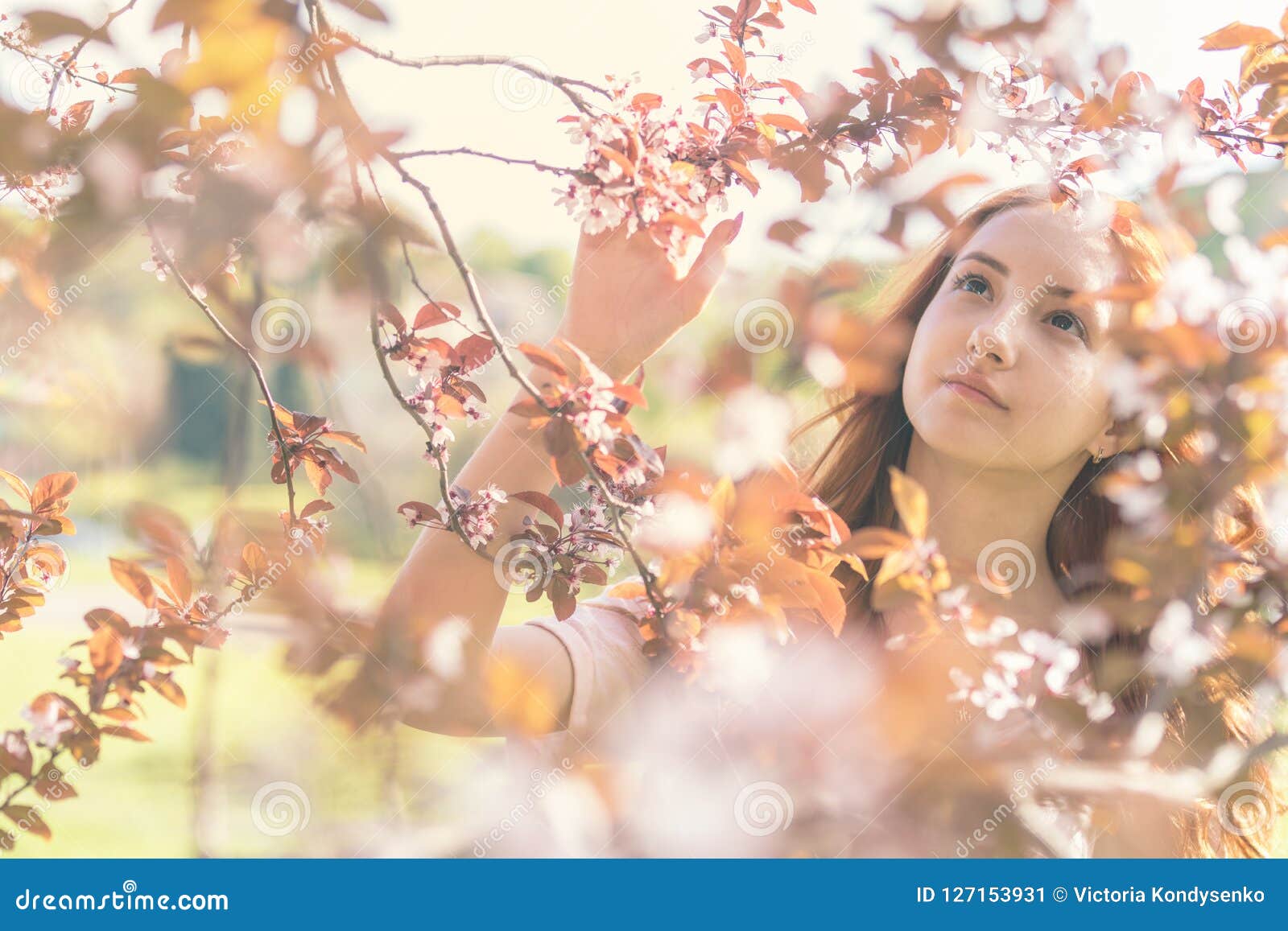 Young Girl Teenager in the Garden with Pink Blossoms. Stock Image ...