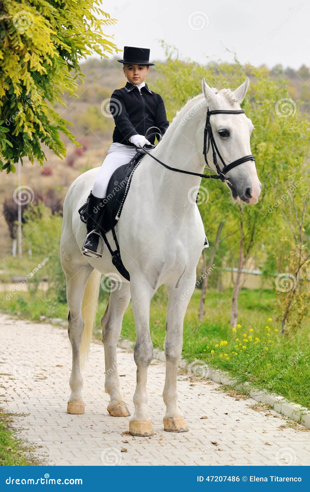 Beautiful young woman riding white arabian horse in autumn 