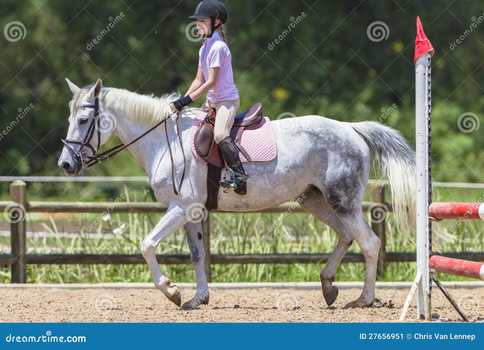 Young Girl White Horse editorial photo. Image of balance 27656951