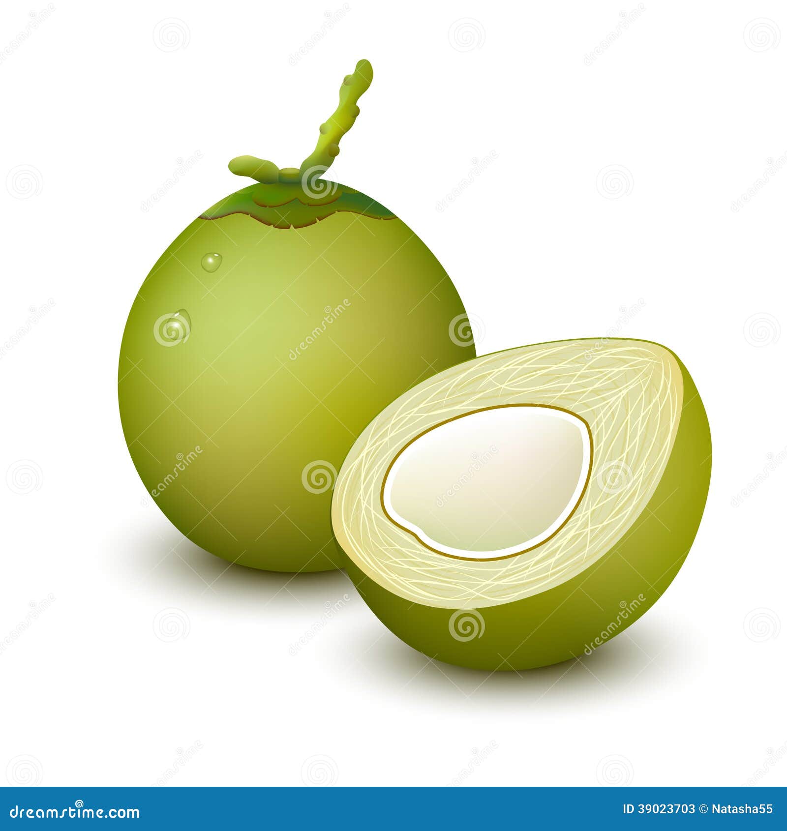 Young green coconut stock vector. Illustration of healthy - 39023703