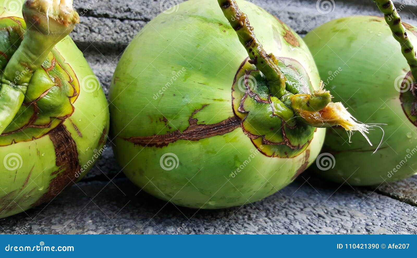 Young Green Coconuts with Nutrient, Health Benefits, Dietary Fib Stock ...