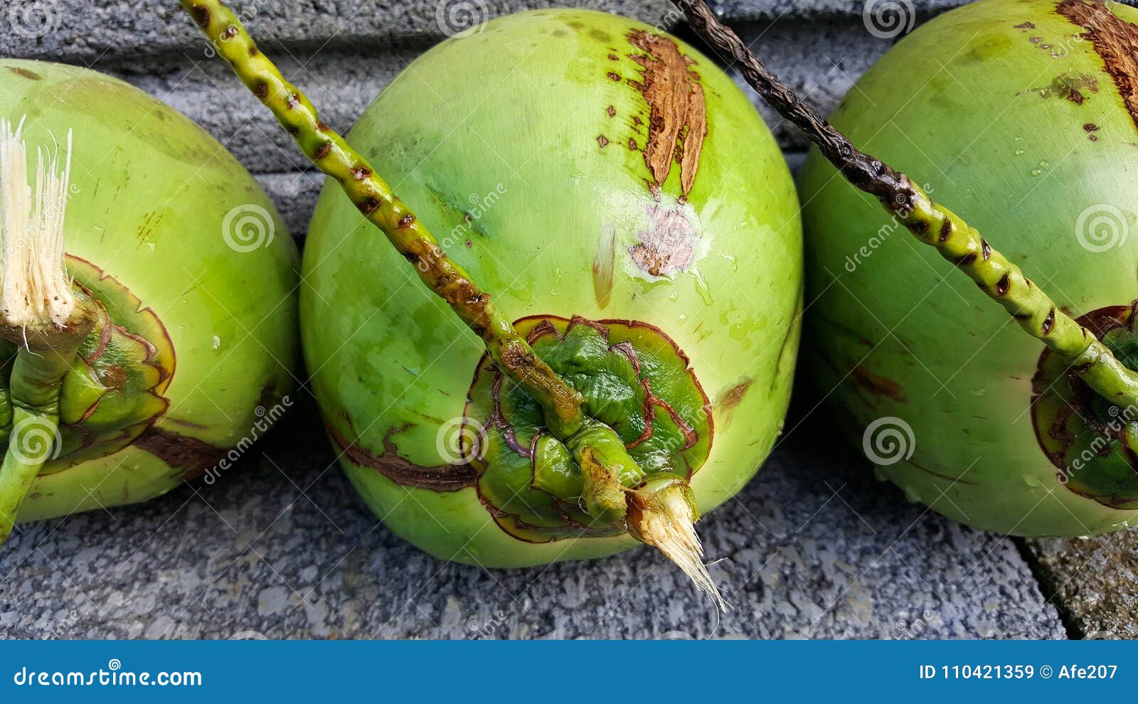 Young Green Coconuts with Nutrient, Health Benefits, Dietary Fib Stock ...