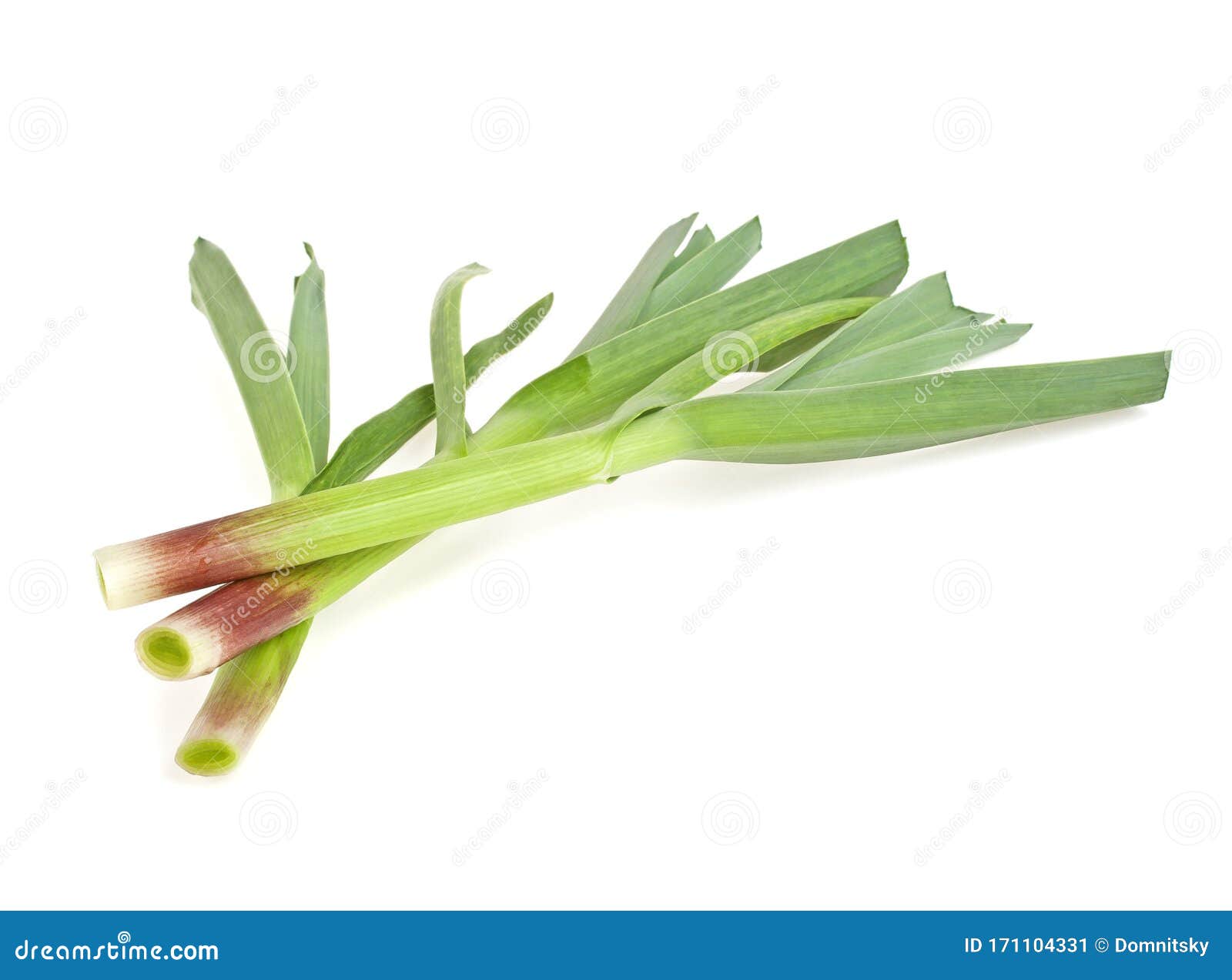 Young Green Garlic Leaves Isolated on White Background Stock Image