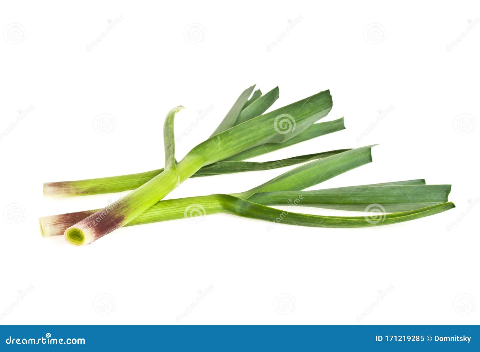 Young Green Garlic Leaves Isolated on White Background Stock Image