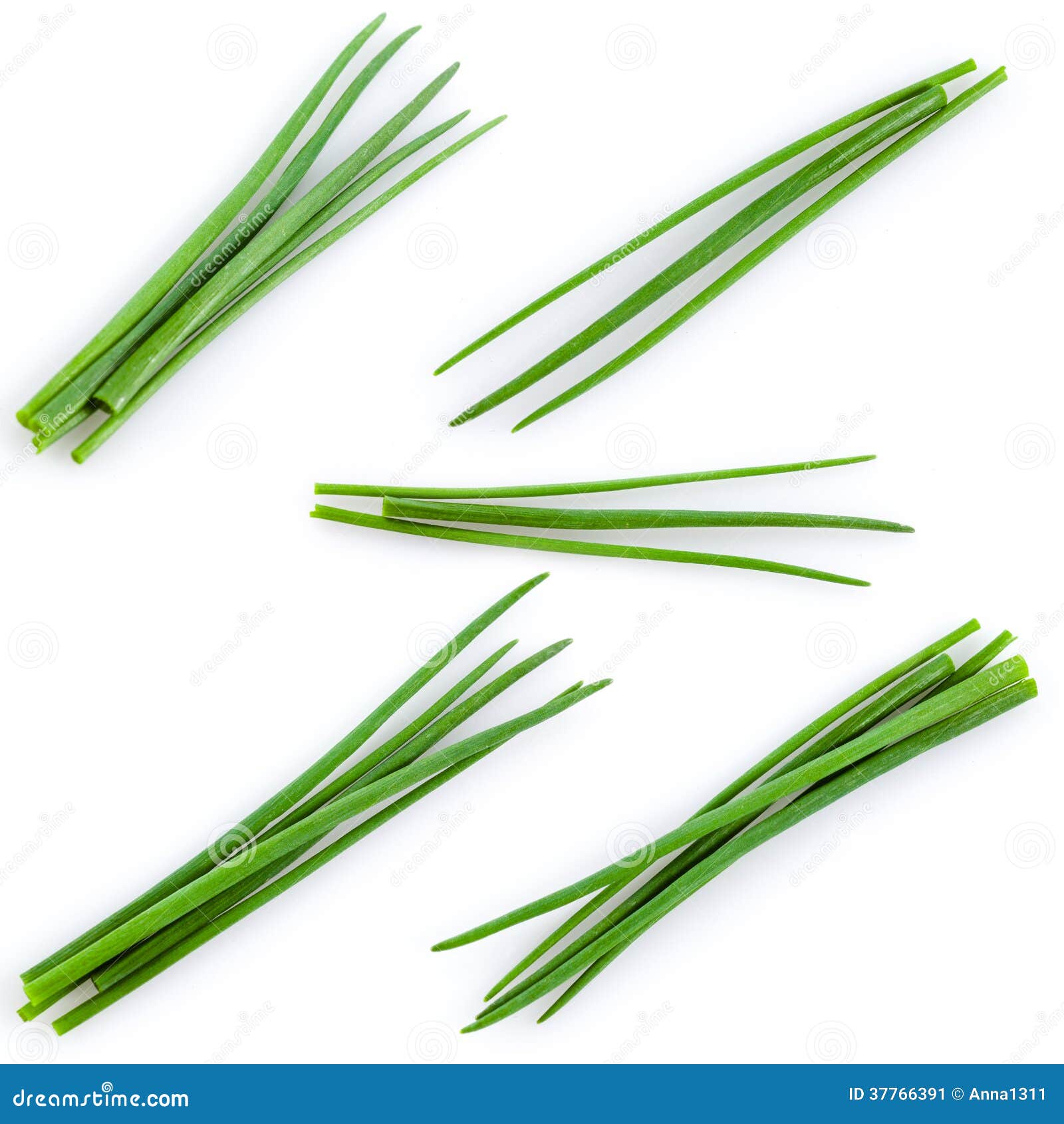 Young Green Onion Set Isolated on White Stock Image Image of ingredient, onion 37766391