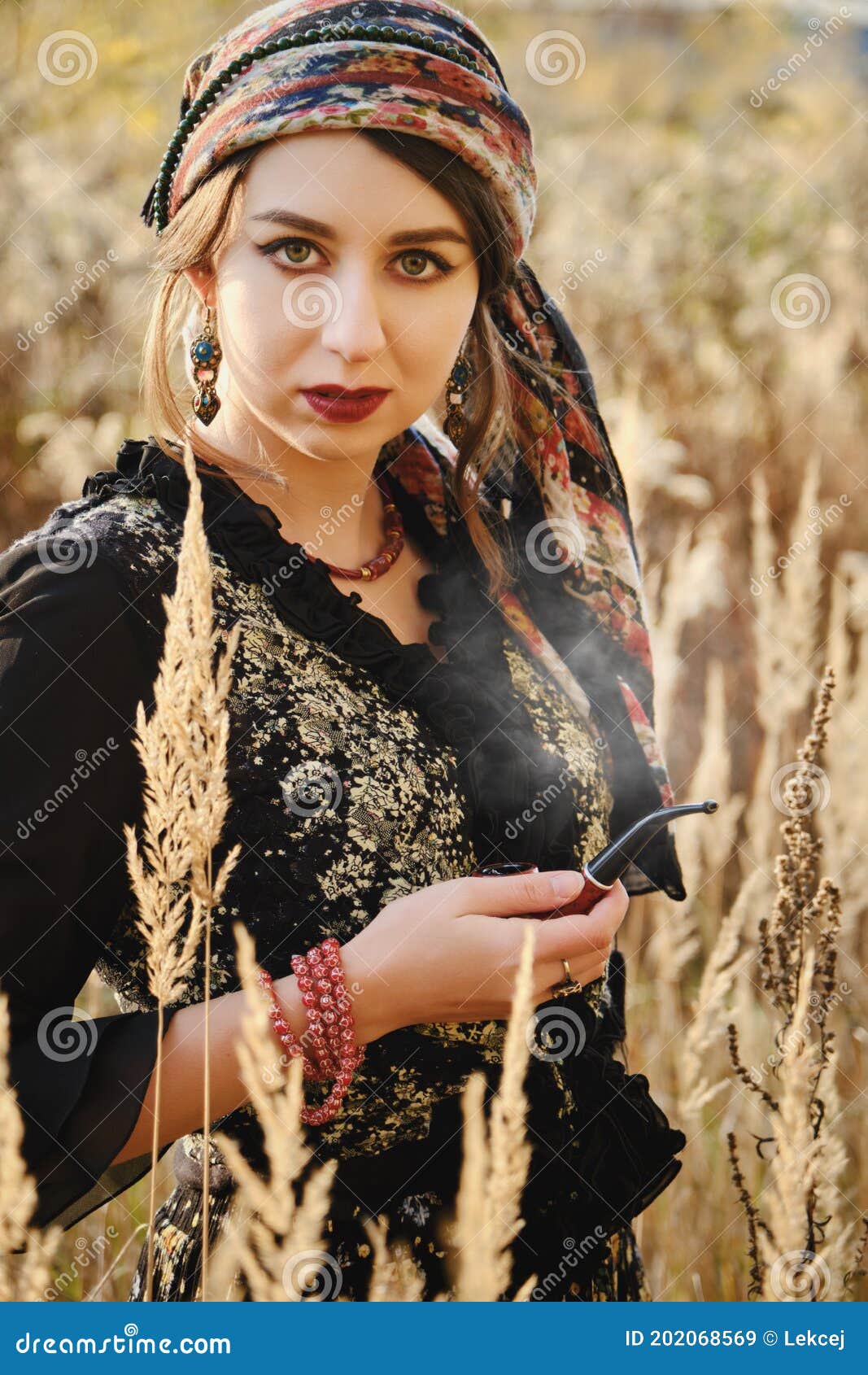 Young gypsy woman stock image. Image of grass, girl - 202068569