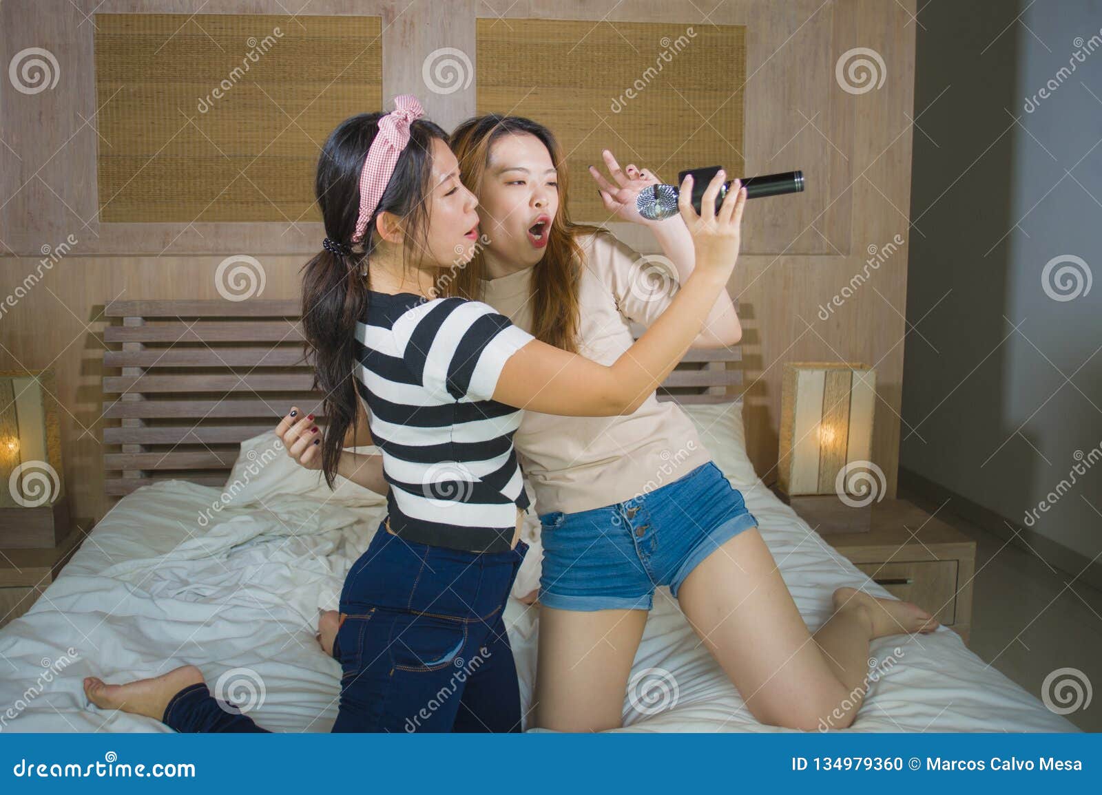 u sing along karaoke vietnamese u sing along karaoke vietnamese