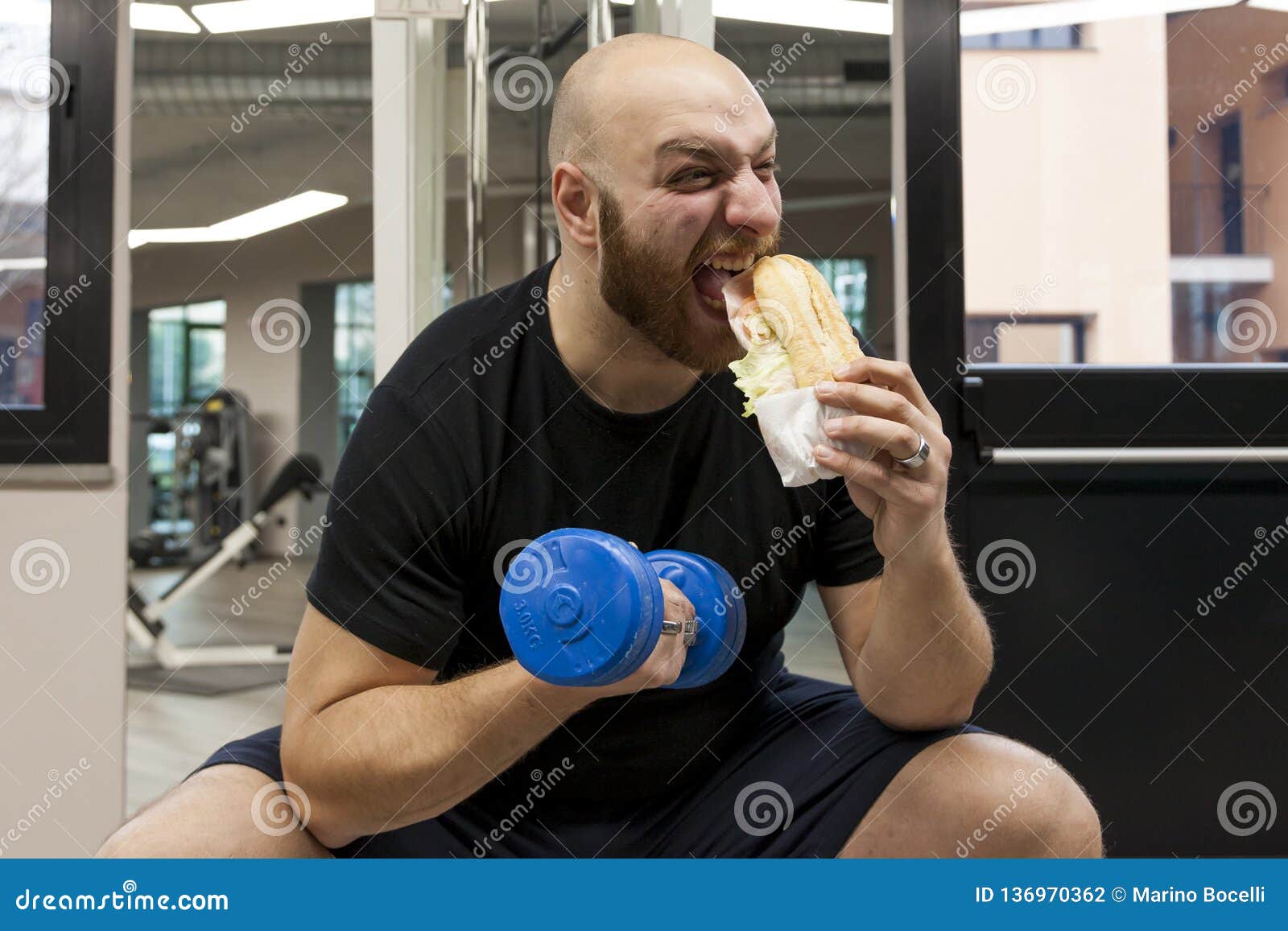 Young Ironic Athlete Eats a Sandwich while Doing Exercises Stock Photo Image of power, chest