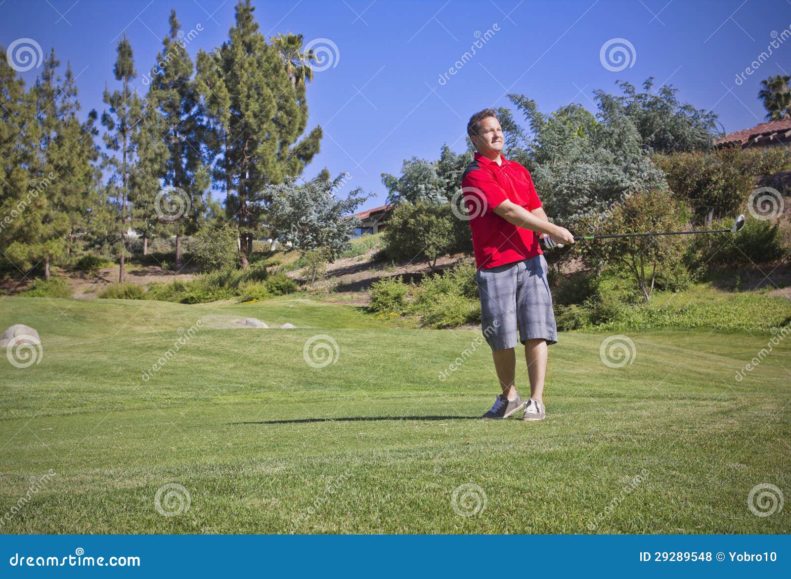 Young Male Playing golf stock photo. Image of young, sports 29289548