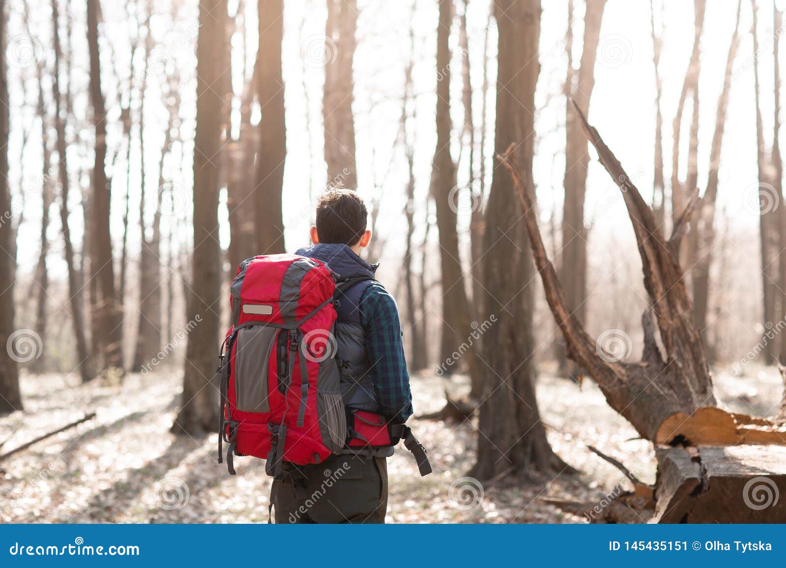 Young Man with Backpack Hiking in the Forest Stock Image Image of