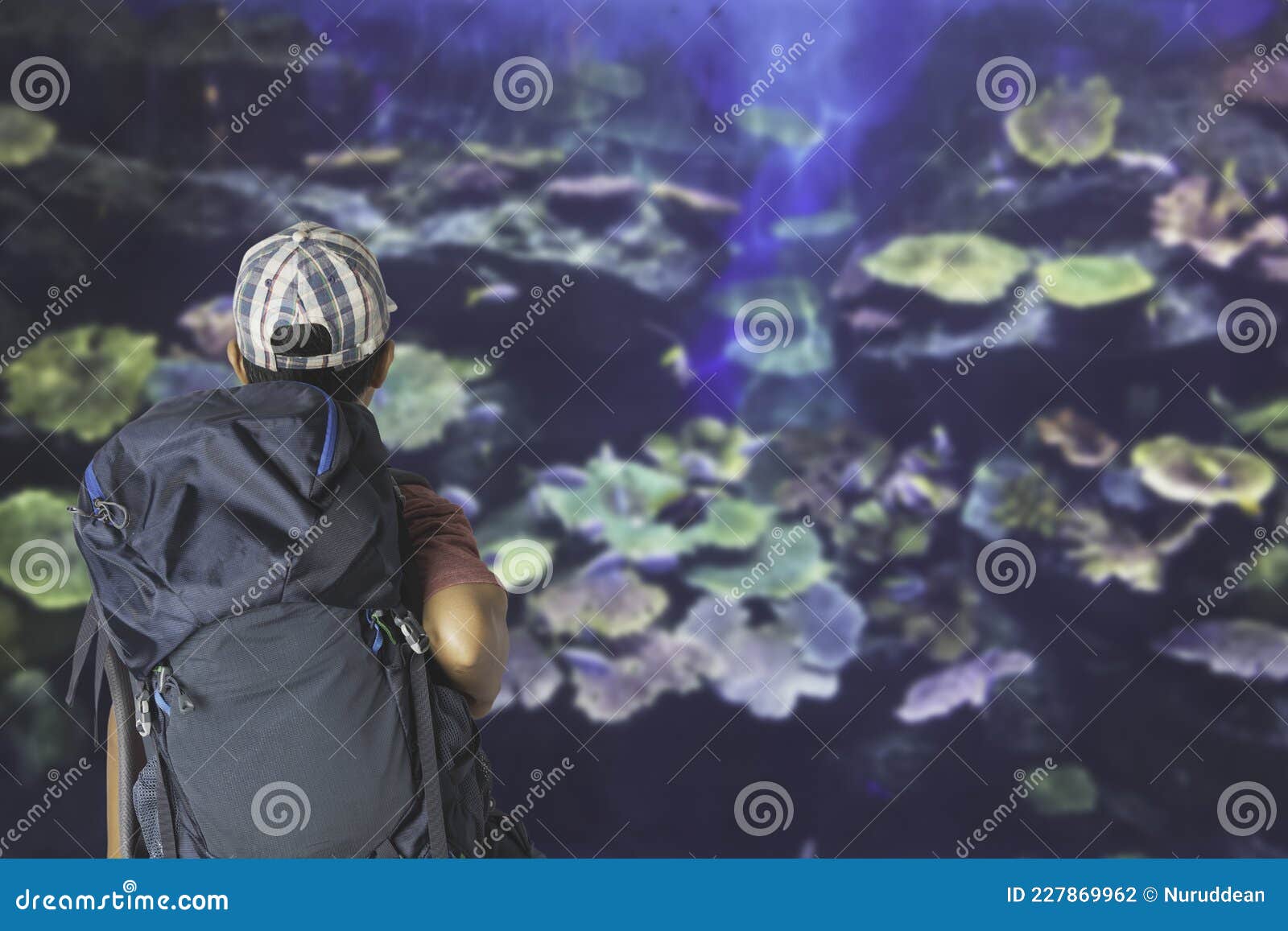 Young Man with Backpack Looking at Fish in a Tank at the Aquarium