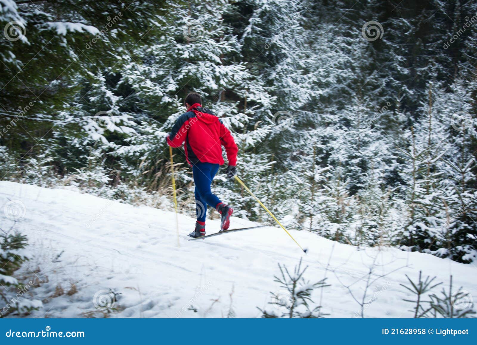 Young man cross-country skiing on a snowy forest trail (motion blurred &amp; color toned image)