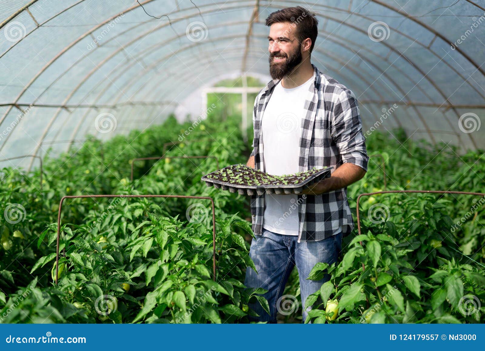 Young Man Doing Plant Work in Hothouse Stock Image - Image of work ...