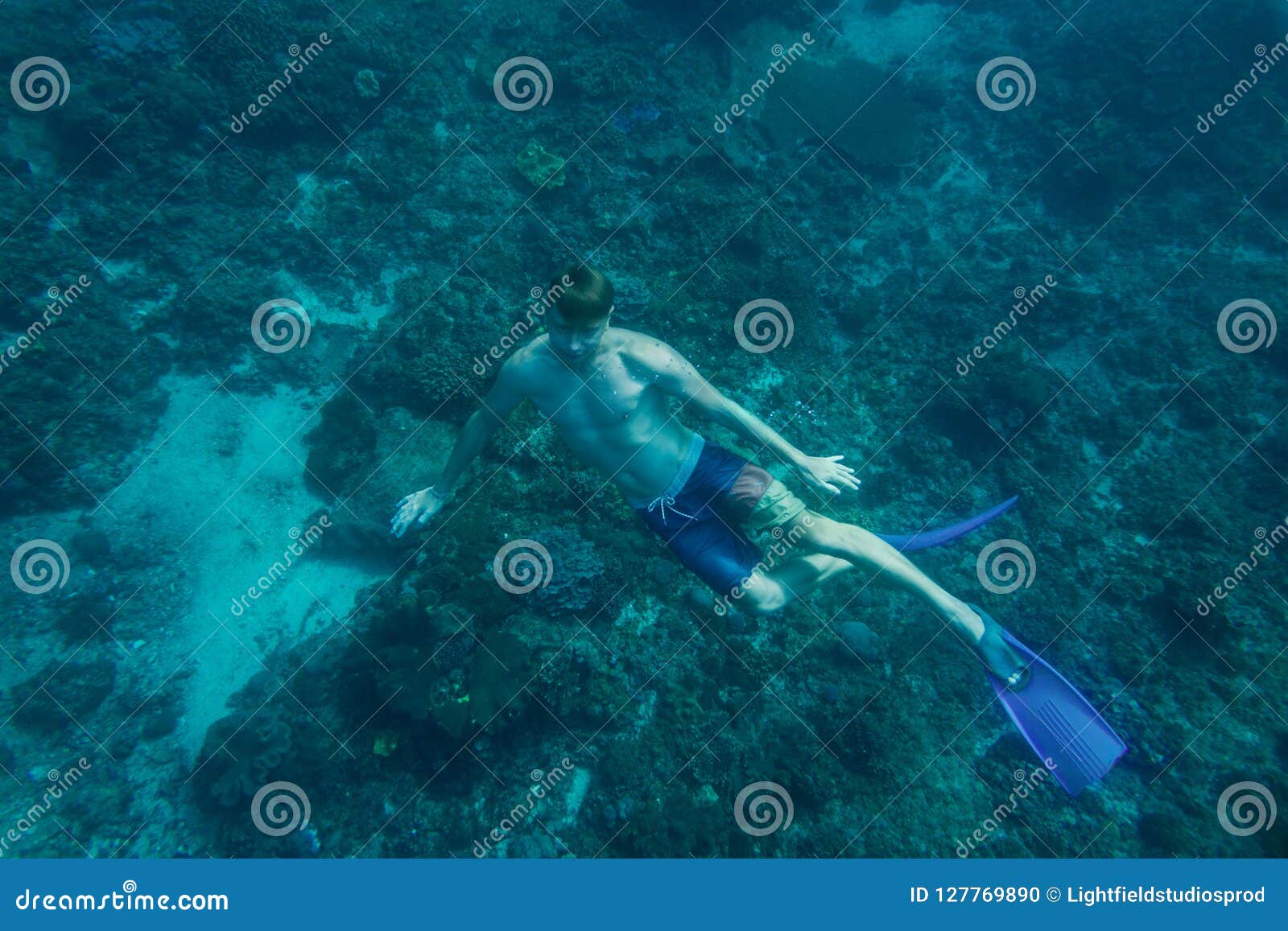 Young Man in Flippers Diving Stock Photo Image of flippers, action