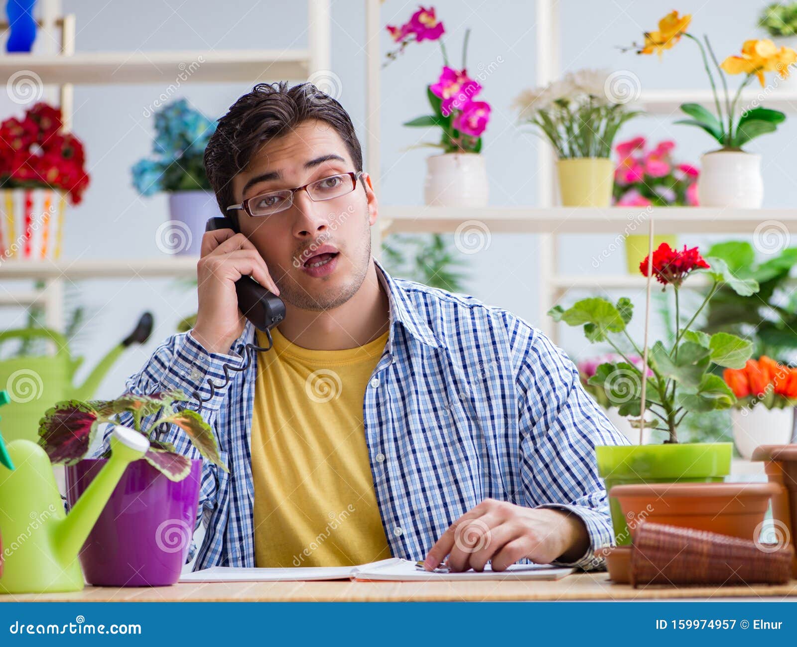 Young Man Florist Working in a Flower Shop Stock Image Image of house