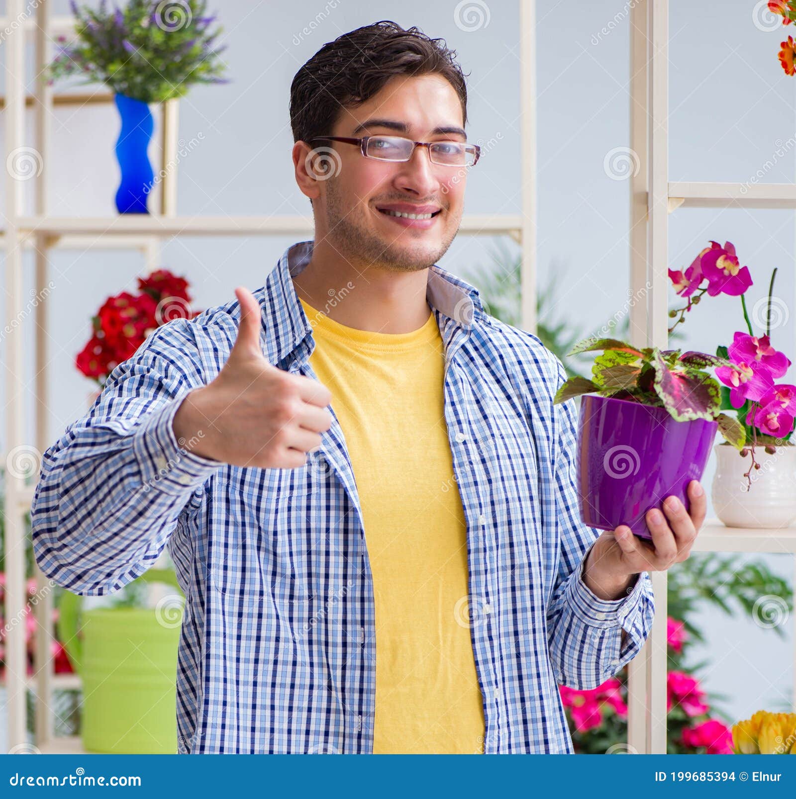 Young Man Florist Working in a Flower Shop Stock Photo Image of