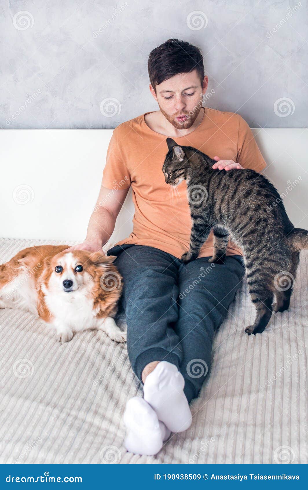 Young Man with His Dog and Cat is Hugging on the Bed. Pets Stock Image