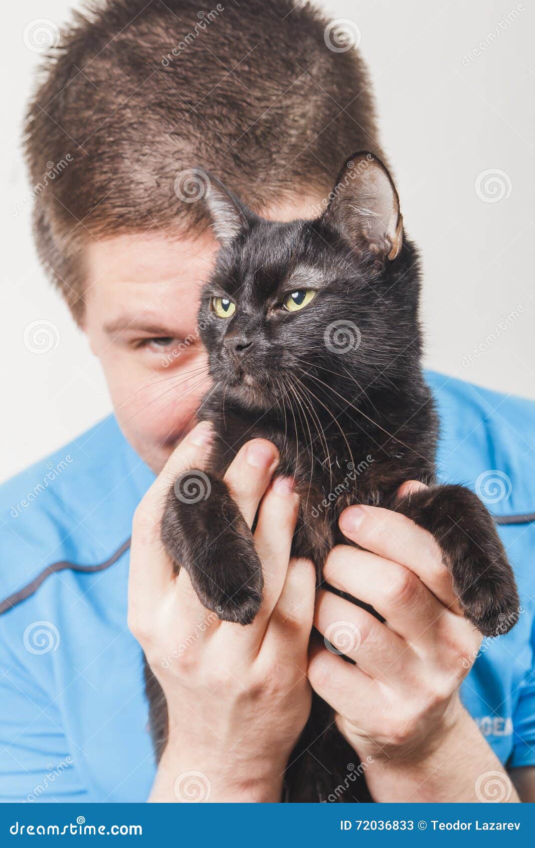 Young Man Holding a Black Cat Stock Image Image of hands