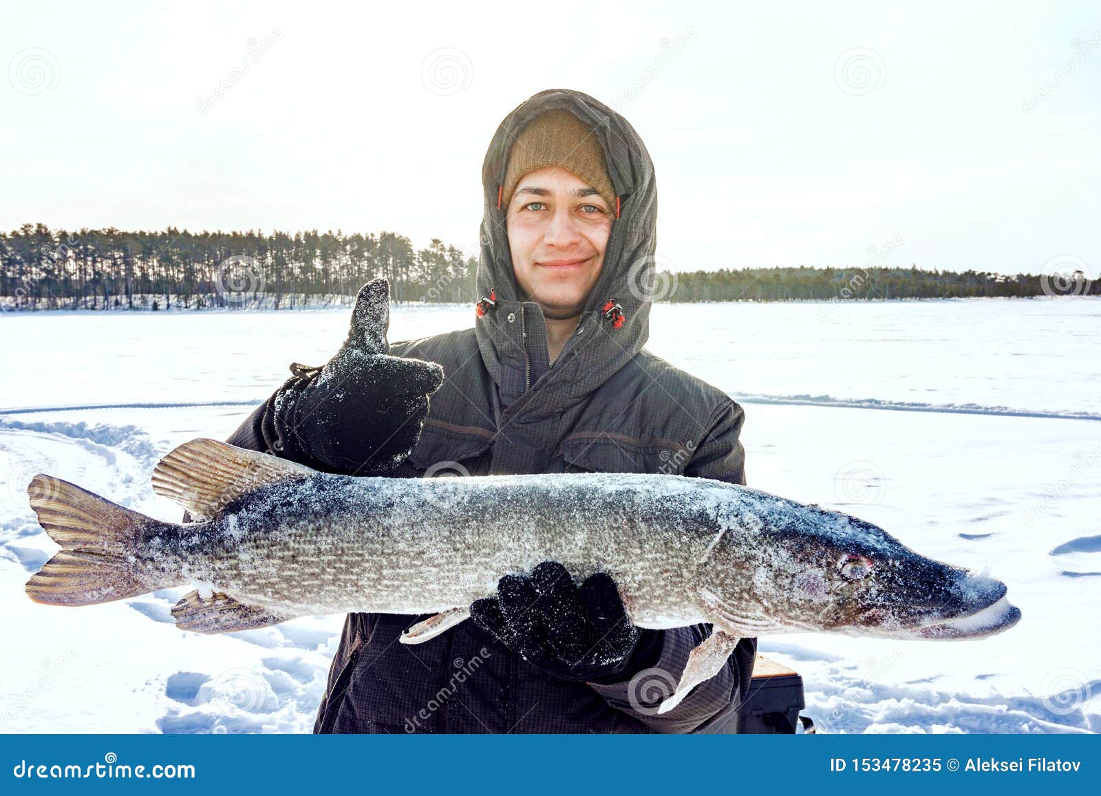 Northern pike ice fishing Stock Photos, Royalty Free Northern pike