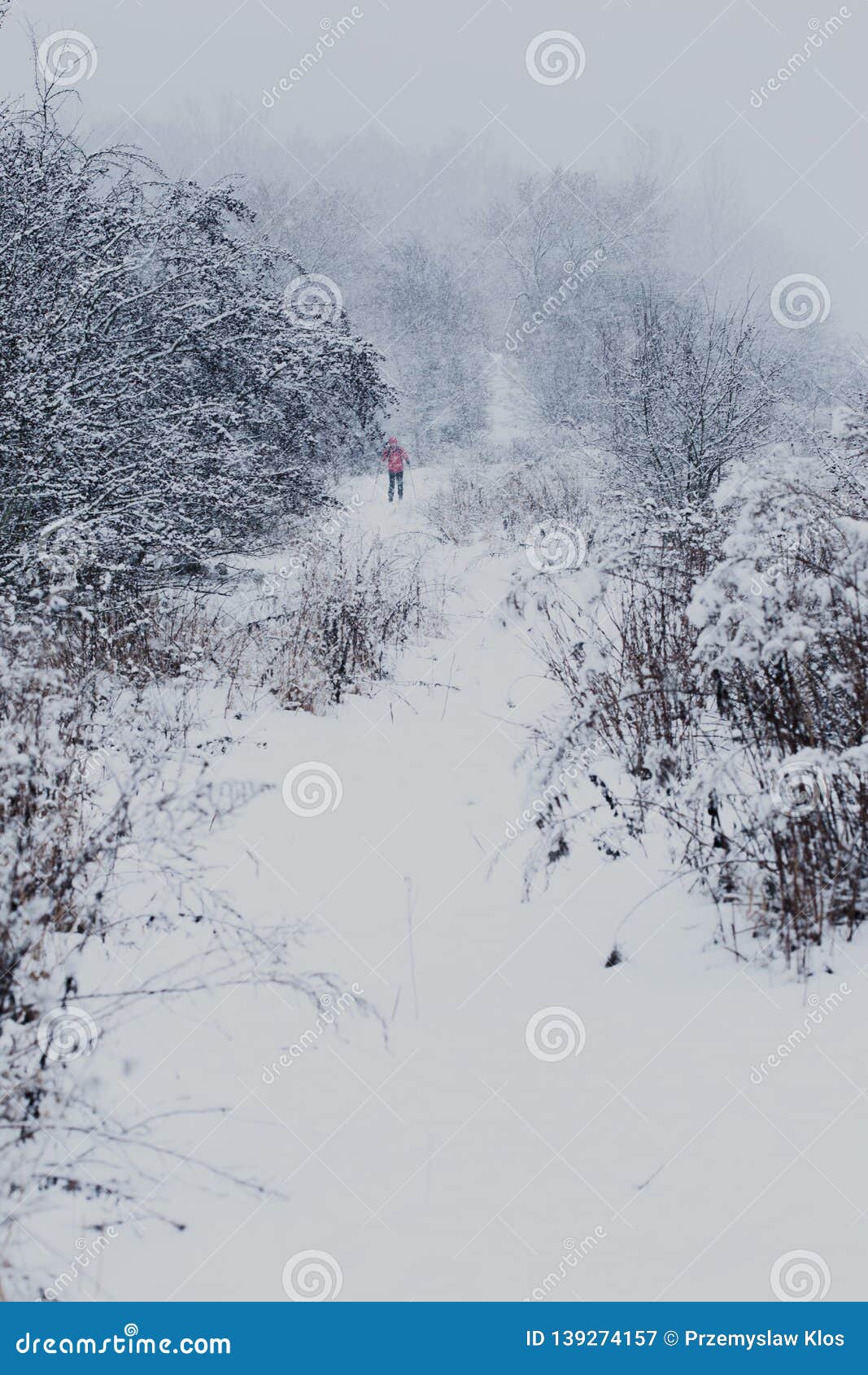 Young Man Jogging through Meadow Pathway during Heavy Snowing. Workout ...
