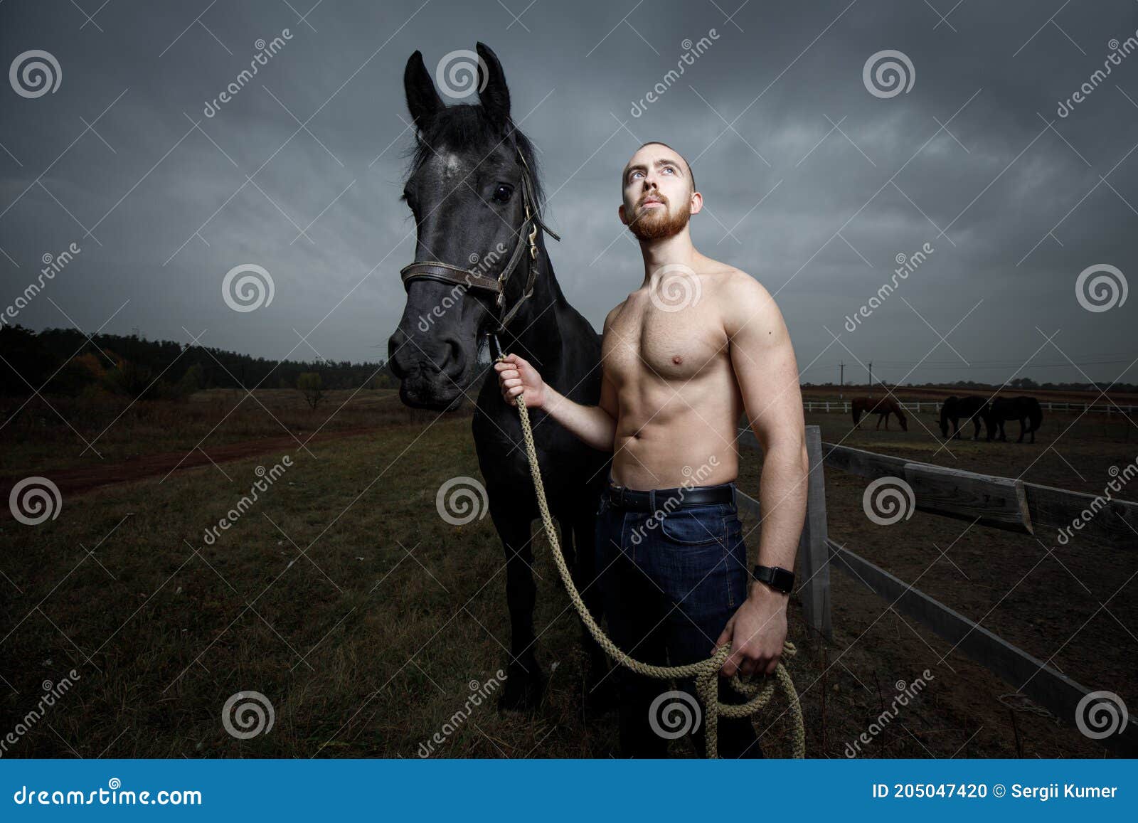 Three Men on a Horse nude photos