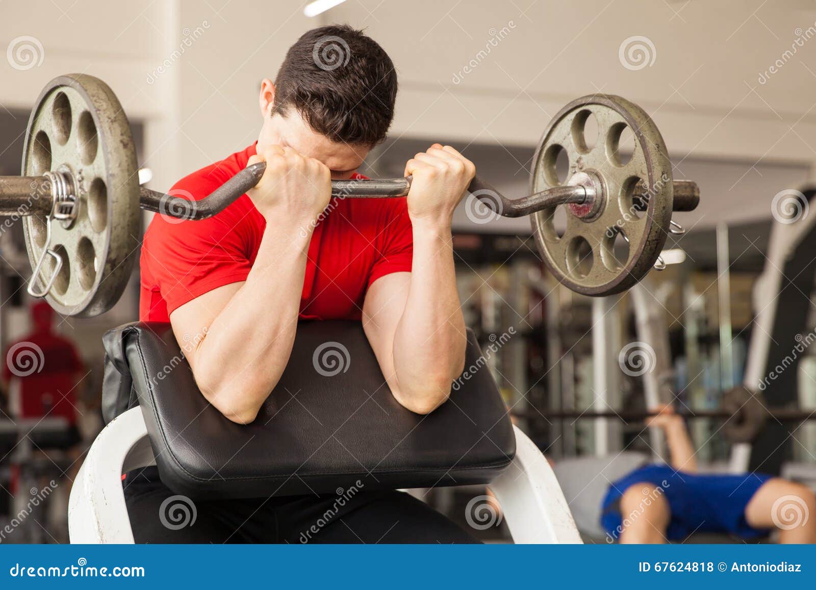 young man in a preacher bench at the gym