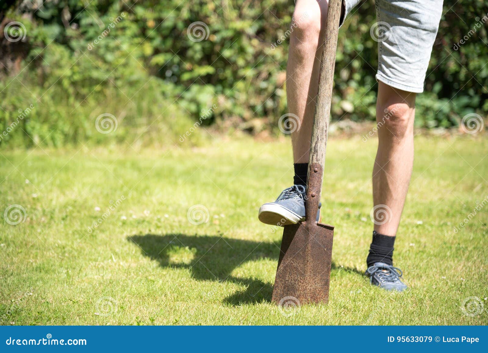 Young Man with Shovel Digging Hole in Garden with a Spade Stock Image