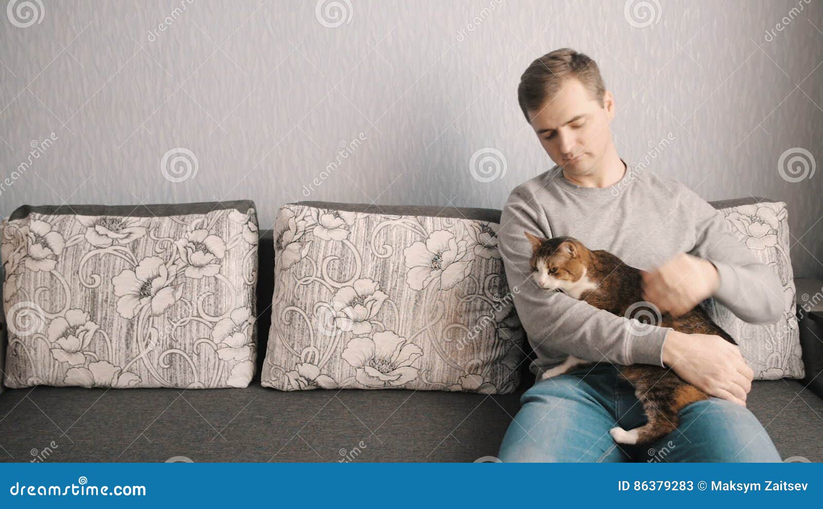 cat sitting on sofa