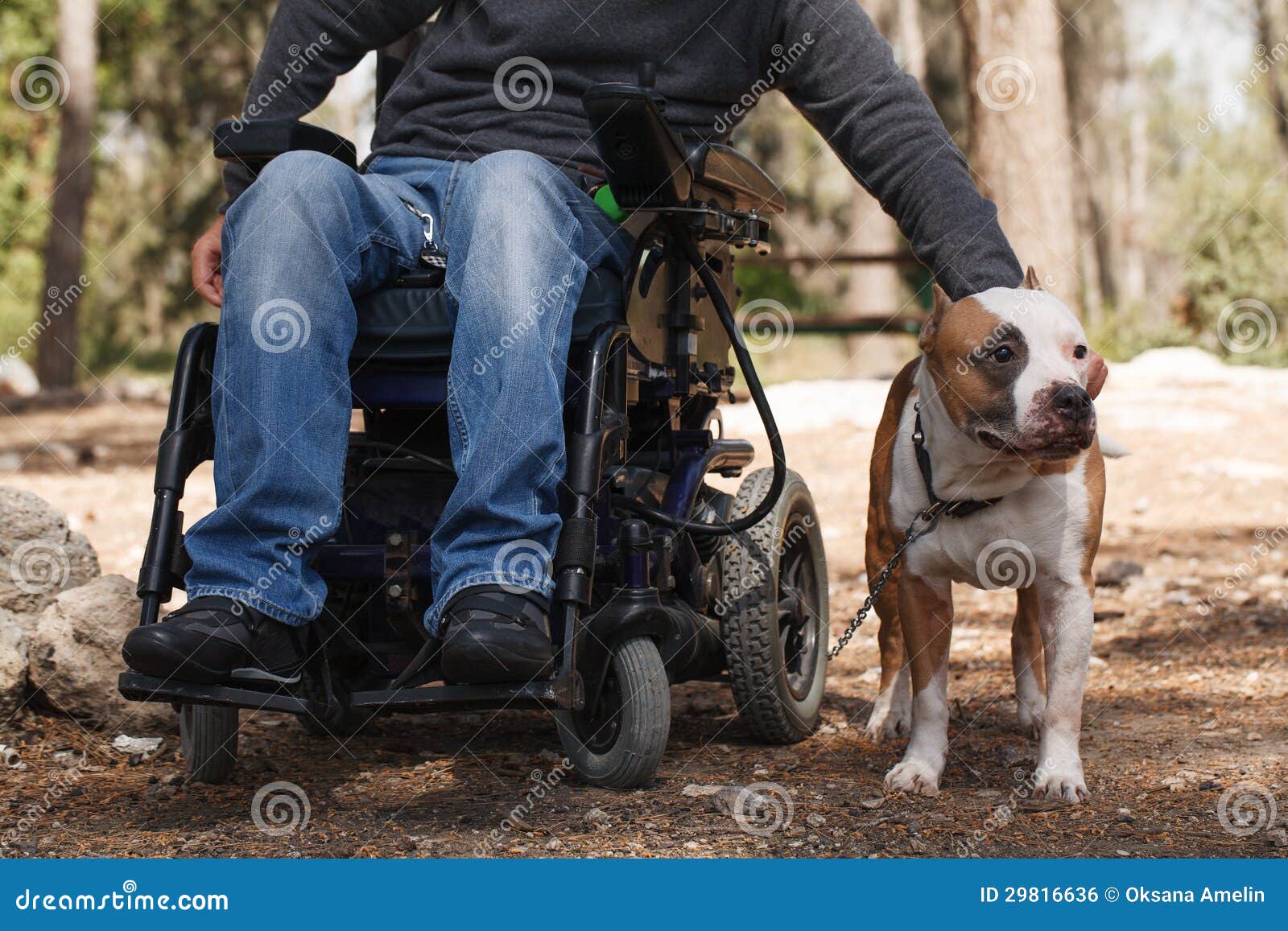 man in a wheelchair with his faithful dog.
