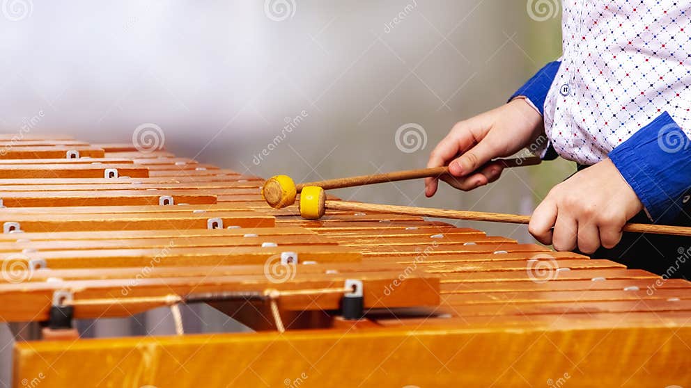 Young Musician Performs a Melody on Xylophone_ Stock Photo Image of classic, concert 174565144