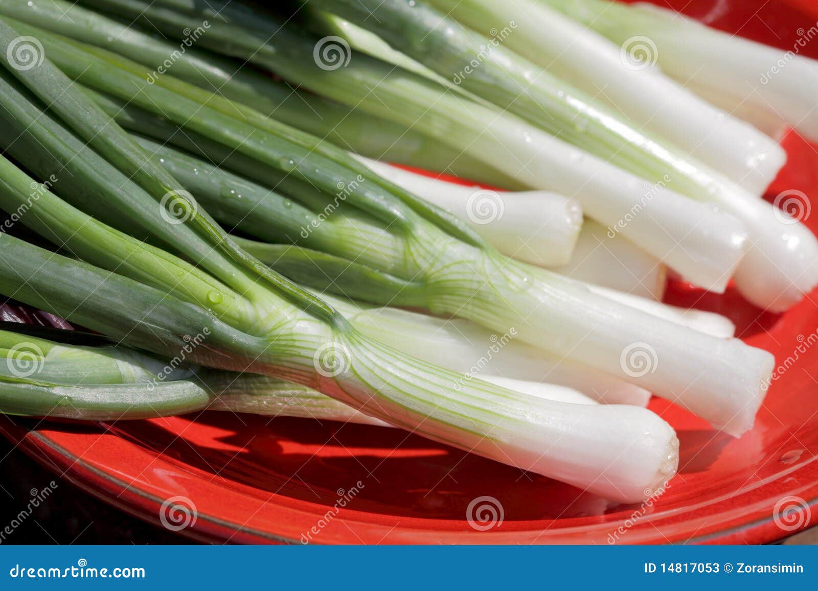 Young onion stock image. Image of agriculture, spice 14817053