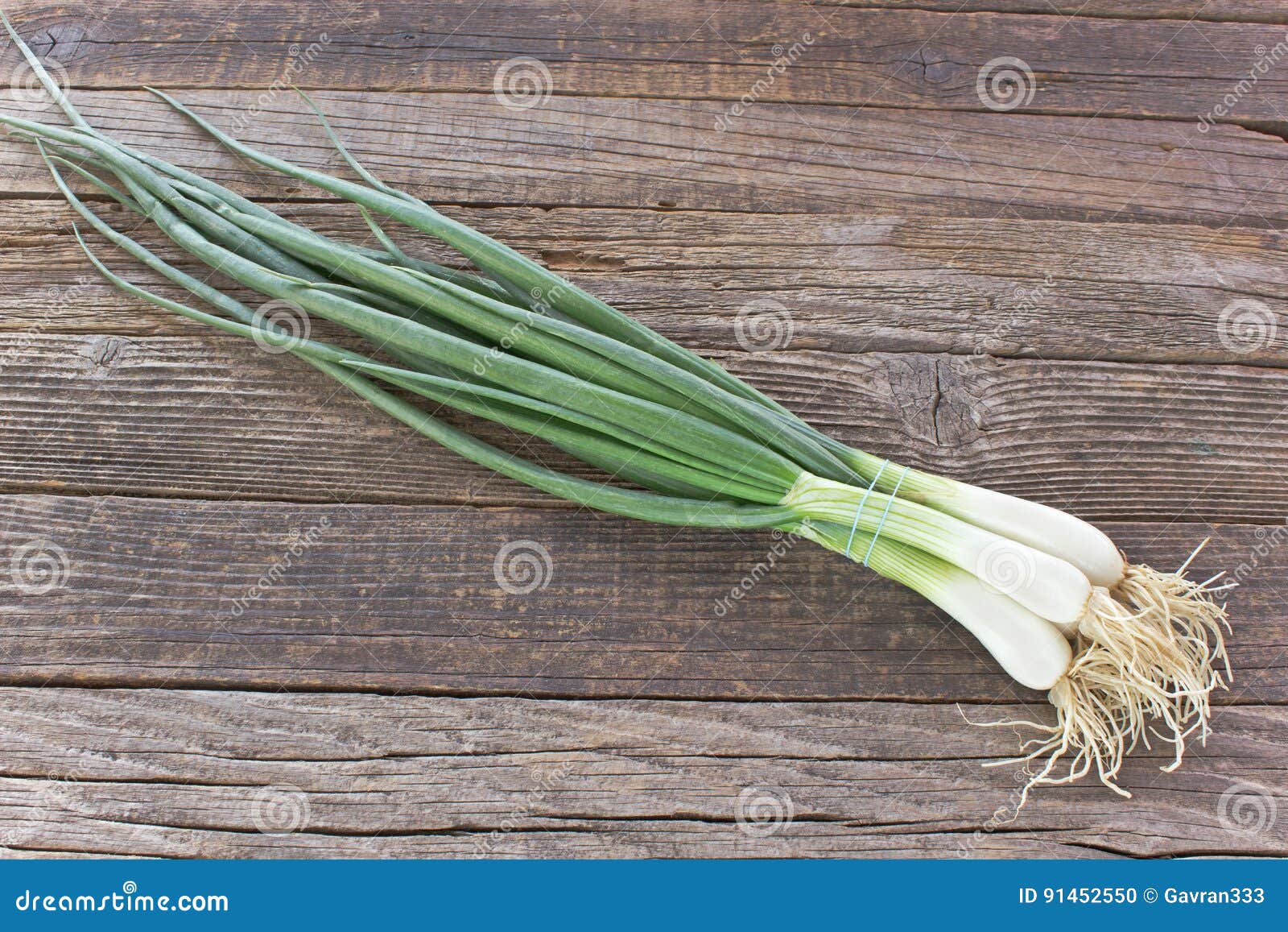 Young onion stock photo. Image of chives, bunch, table 91452550