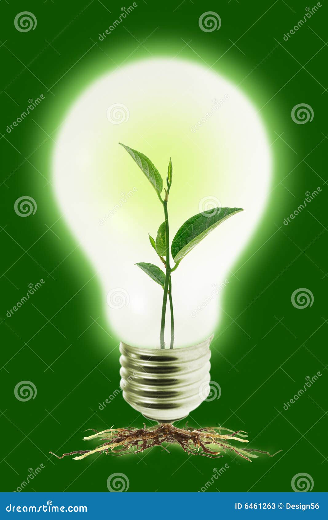 Young plant in light bulb stock image. Image of background 6461263